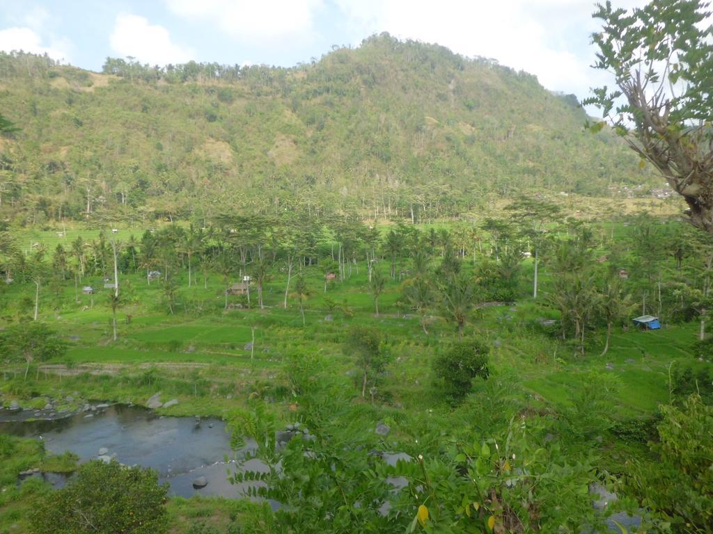 Villa Kropak Sidemen  Ngoại thất bức ảnh